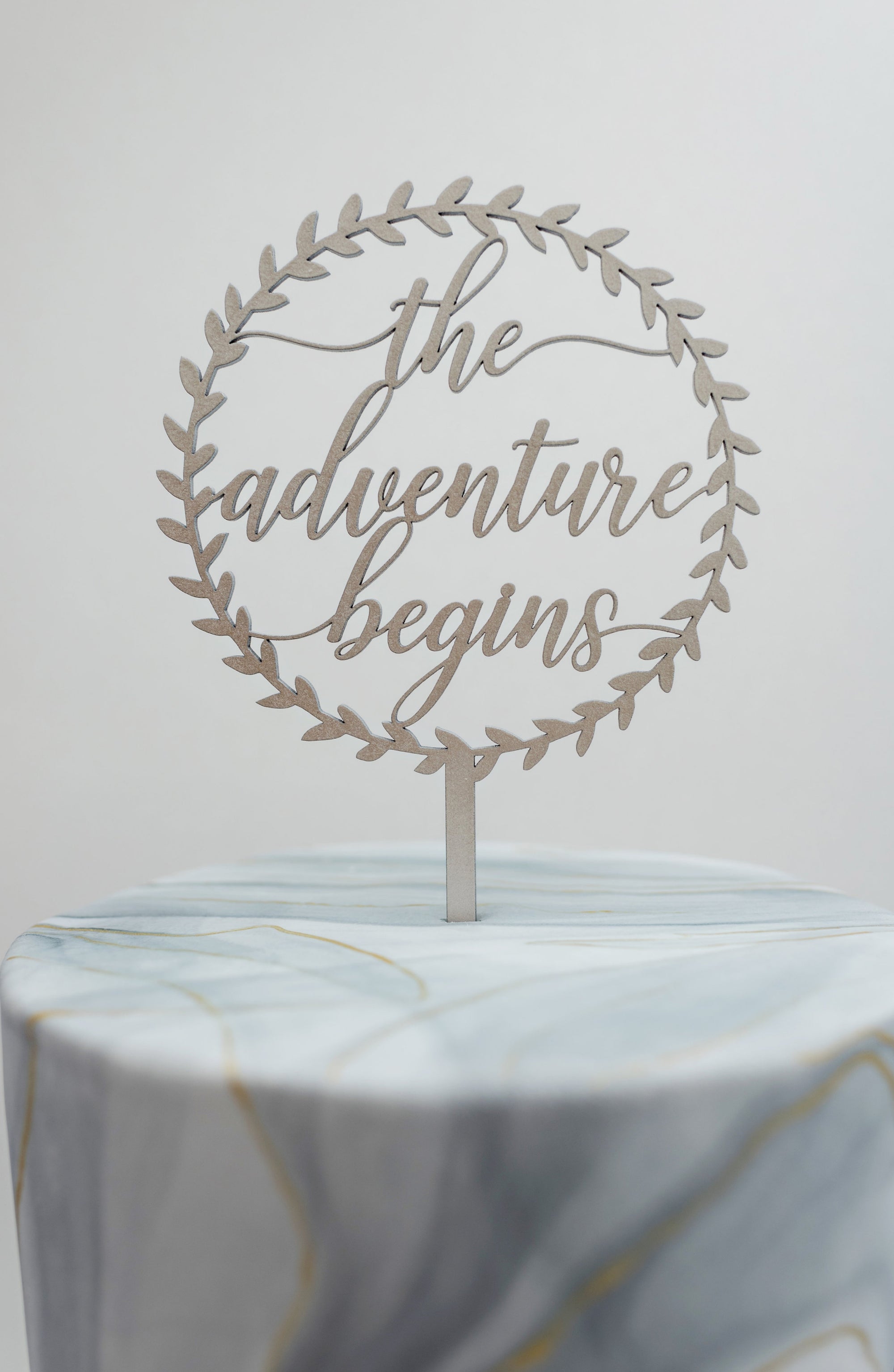 The Adventure Begins Cake Topper