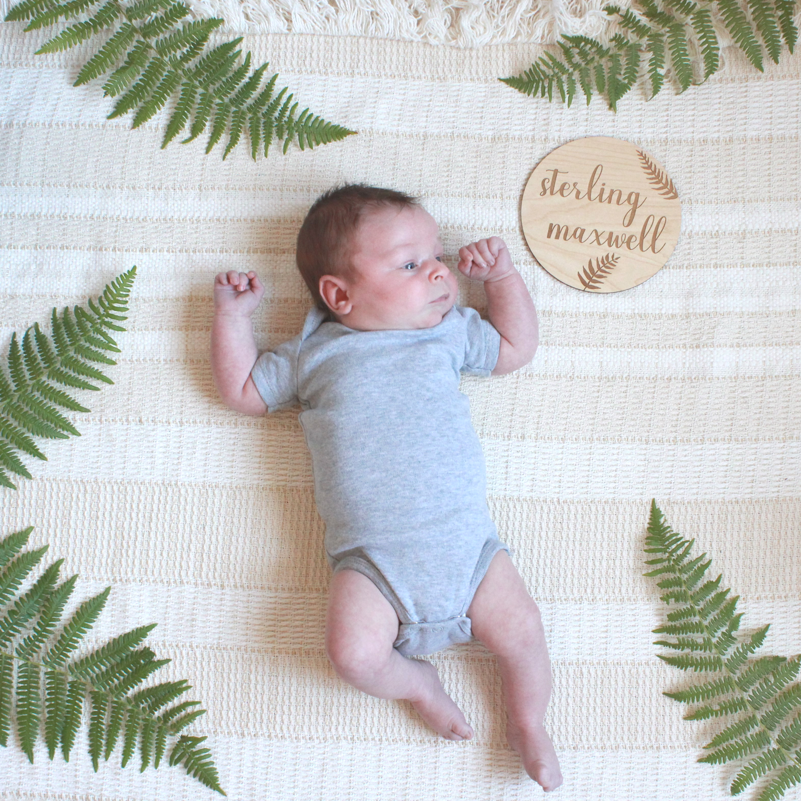 Botanical Name Plaque